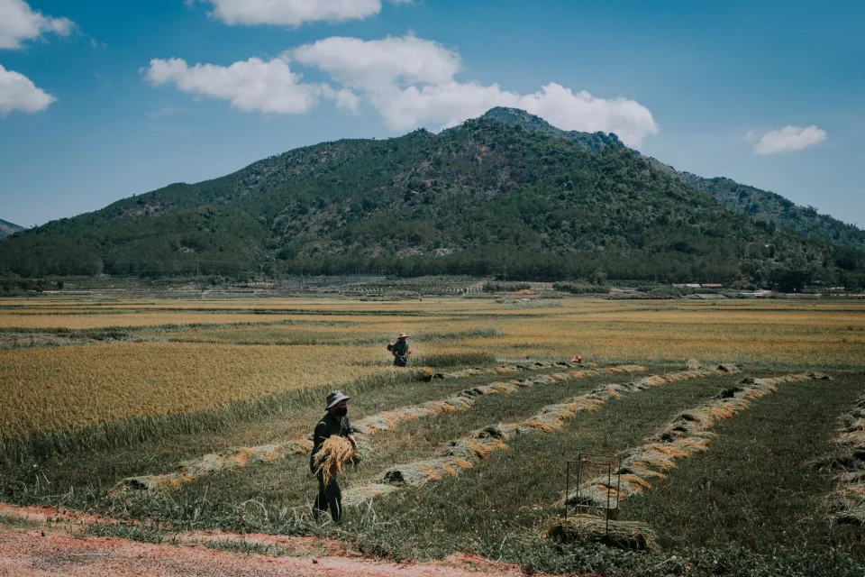 Kho gạo của Phan Thị Túc